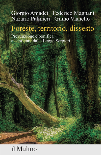 Cover Foreste, territorio, dissesto